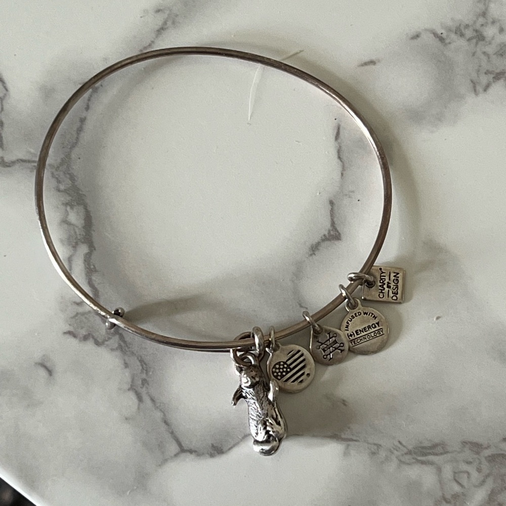 Alex and Ani Silver Otto Charm Bracelet